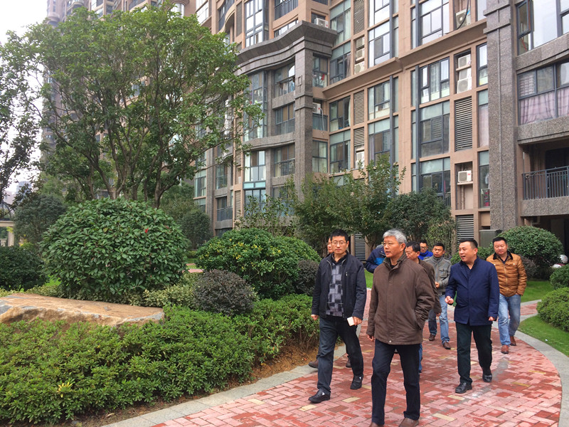 合肥市園林局汪副局長一行 蒞臨華地公館實(shí)地考察